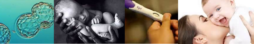 Fertility Acupuncture in Seattle WA fertility acupuncture in seattle babies and woman