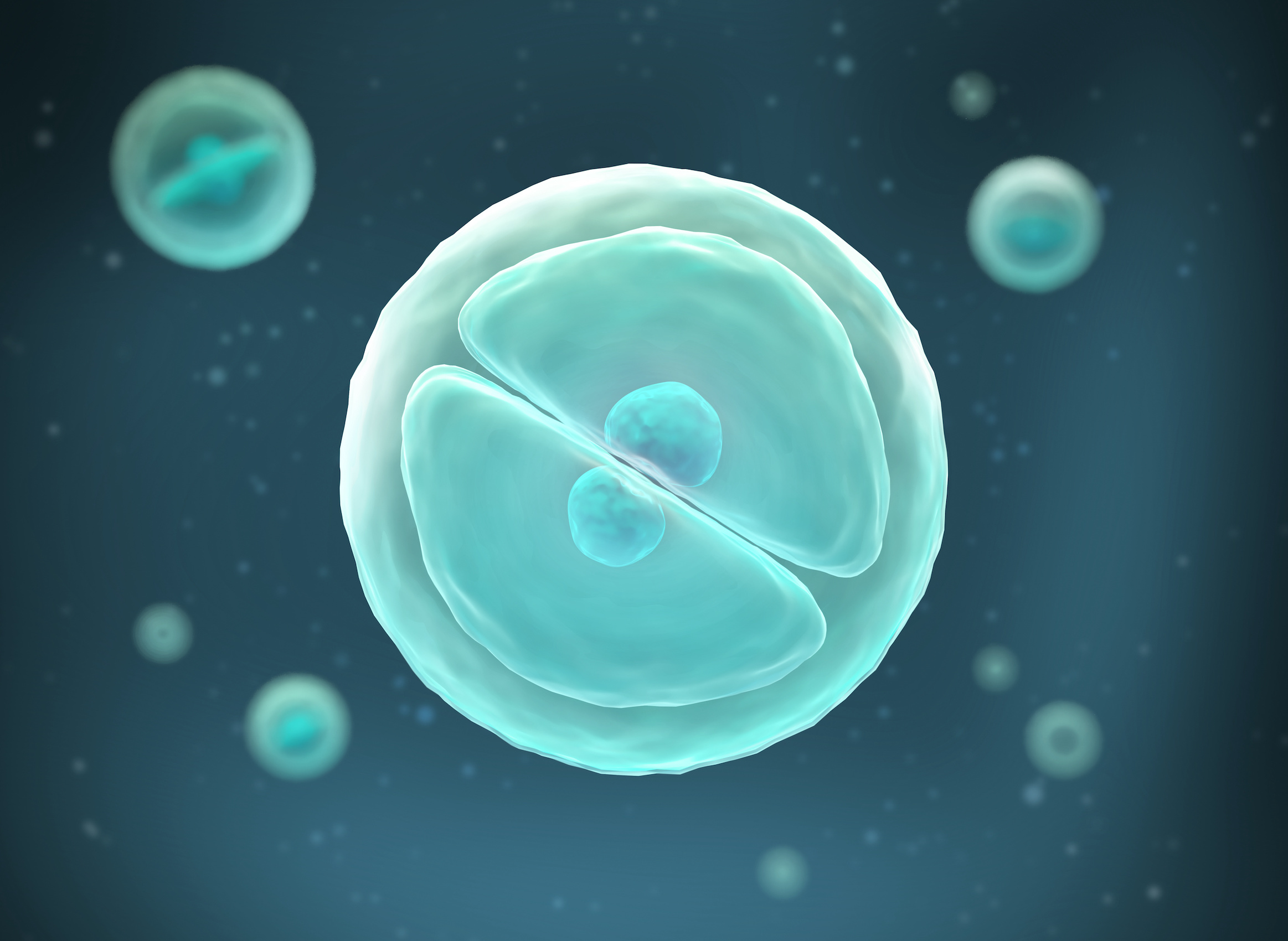 Human cell or Embryonic stem cell microscope blue background, 3d illustration.